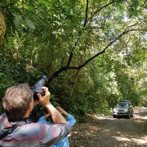Birding pipeline road
