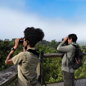 Panama Road Trips Birdingg